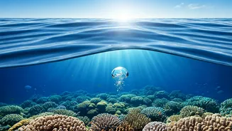 Sundar Pichai's Underwater Revelation: Finding Calm to Lead a Tech Giant