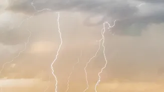 A Fire-Born Thunderstorm Shows Why Some Megafires Become Harder to Control