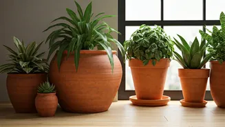 Why Urban Millennials Love Terracotta Aesthetic For Home Styling