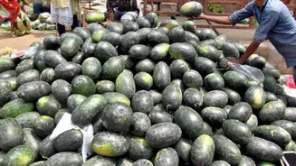 4 Mumbai family members die suddenly after eating watermelon