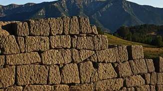 8 Traits of Mental Fortitude: Build a Strong Mindset