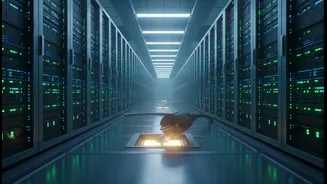 Meta's Alberta Project Brings Jobs And Investment, But Also A Huge Electricity Bill