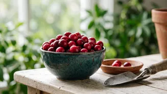 Expectations For Indoor Fruit And Indoor Cranberry Gardening: What To Know