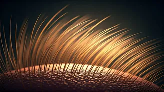 Hair SOS: Decoding Your Scalp's Silent Signals