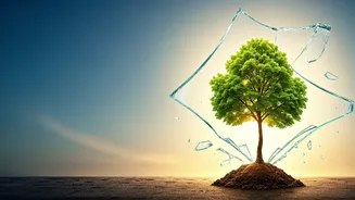 Don't Give Up: Persistence Pays After Setbacks