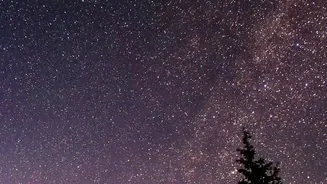 Escape City Lights, Discover Stunning Star-Filled Nights