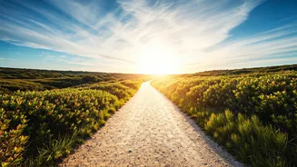 Forgiveness: The Path to Inner Peace (Insights)