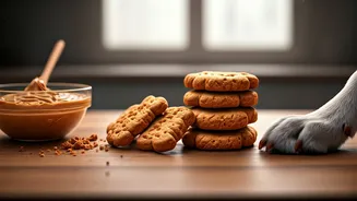 Planning Rainy Day Dog Care Bake Peanut Butter Biscuits