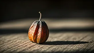 8 Lost Summer Fruits of India: Rediscovering Forgotten Flavors