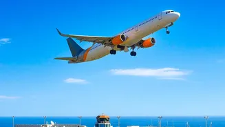 International Flight Status Explained: Airline, Airport And Official Updates