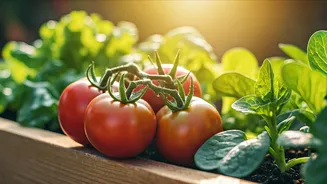 The Art of Home Gardening: Cultivating Your Own Green Oasis