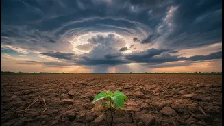 Better Lead Times Turn Monsoon Forecasting Into A Crop Strategy Tool