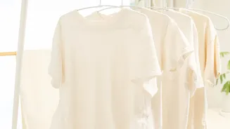 How To Keep Rooms Fresh And Dry In Humid Weather