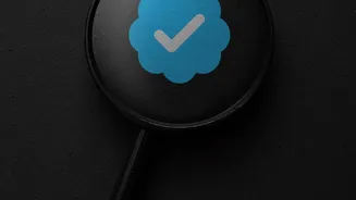 Research scholars rely on AI verification engines to filter out fabricated academic citations