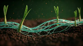 Unraveling the 450-Million-Year Symbiosis: New Tools Reveal Plant-Fungi Molecular Dance