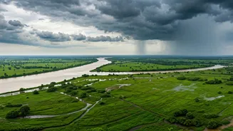 Rain Update: Gujarat And Madhya Pradesh Get Drenched In Monsoon