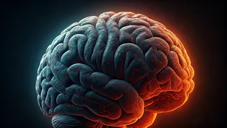 Rewire Your Brain: How Constant Complaining Harms Your Mind