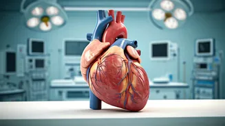 Cardiac Rehab: Your Heart's Second Chance