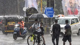 Three western disturbances to bring rainfall across Himalayas and north India this week
