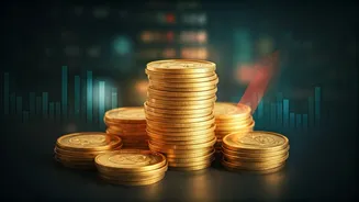 ICICI Prudential AMC IPO: Analyzing Grey Market Signals