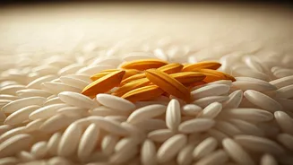 Designer Rice: India's Protein-Rich Breakthrough for Healthier Eating