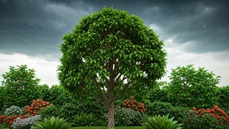 Pruning Prevents Rainy-Season Plant Damage Later