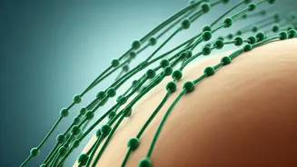 Manisha Koirala's Lymphatic Drainage Massage: Unveiling the Gentle Detox Secrets