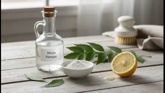 Low-Chemical Monsoon Cleaning Brings Vinegar, Neem and Baking Soda into Everyday Decisions for Renters and Home Cleaners