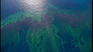 How NASA Satellite Telemetry Guides Oceanographers Studying Massive Microscopic Plant Surges
