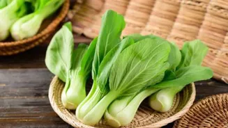 5 bok choy recipes you'll love