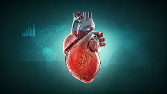 Understanding Your Health: Expert Insights on Key Medical Concerns and Symptoms