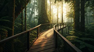 Canopy Walks Bring You Closer To Nature