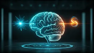 3 Career Superpowers AI Cannot Replace In 2026 Marketplaces
