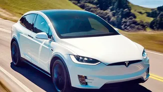 Tesla's Gurugram Test Puts Camera-Only Road Mapping in Focus