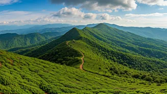 Beat the South Indian Heat: 5 Cool Hill Stations for Your Summer Escape