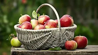 Modern Cold Storage Infrastructure Helps Kashmir Apple Industry Reduce Harvest Season Waste