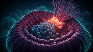 Why Experts Can't Stop Discussing Gut Health