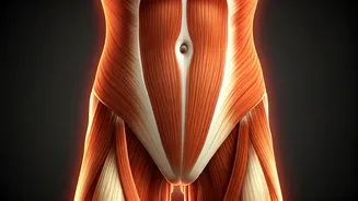 Unlock Ageless Strength: Master Core Exercises at Any Age for a Healthier You!