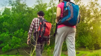 How Backpackers Can Link Central India’s Tiger Reserves Using Budget Rail Circuit Passes