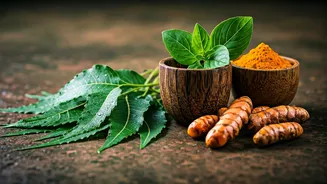 Beyond Snail Mucin: The Subtle Herbs Shielding Monsoon Skin
