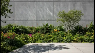 Concrete Homes Heat Up Fast; Terrace Plants Can Help Balance The Temperature