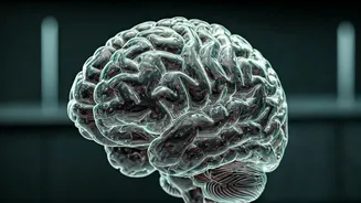 Control Senses, Gain Knowledge: Gita 4.39 Unpacked