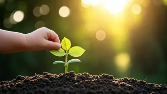 Sam Altman's Parenting Philosophy: Prioritizing Outdoor Play Over Screens for His Son