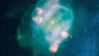 Webb's New Lion Nebula Portrait Gives The Lion Nebula Story A Clearer Focus On Planetary-Nebula Structure