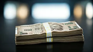 IPO Frenzy in India: What Investors Need to Know