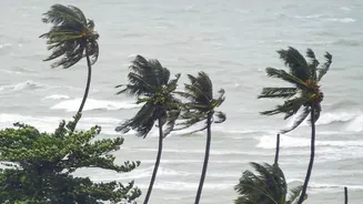 Assam's Offbeat Monsoon Experiences Are Gaining National Attention