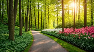 Navigating Life's Journey: Mental Well-being & Fresh Starts