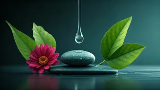 Why Natural Plant Extracts Lead India’s Post-Mucin Skin Trends
