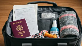 Pet Travel Needs Documents, Comfort And Calm