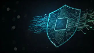 Understanding Website Security: Your Shield Against Malicious Bots